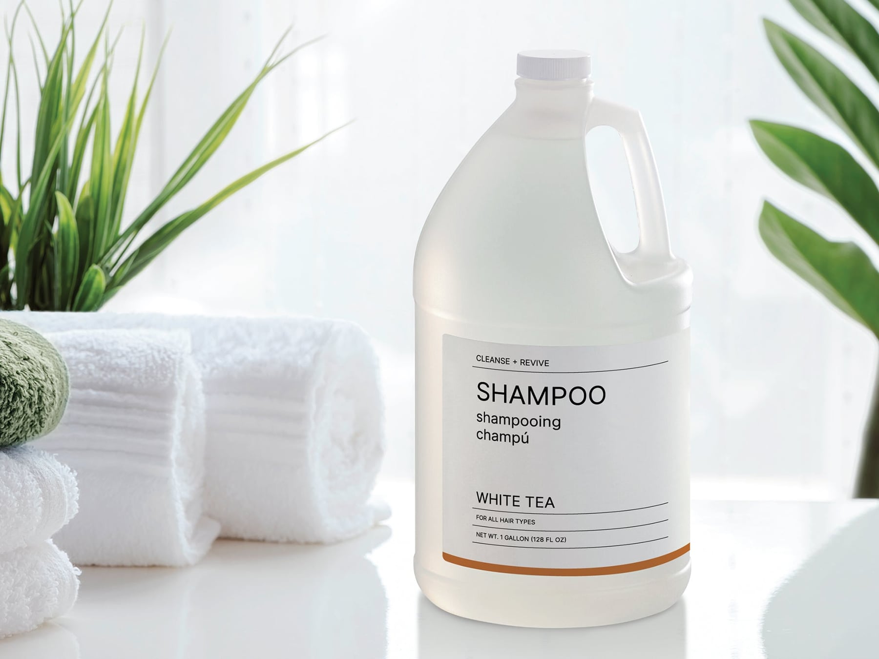 White Tea Gallon Jugs ürün görseli 1