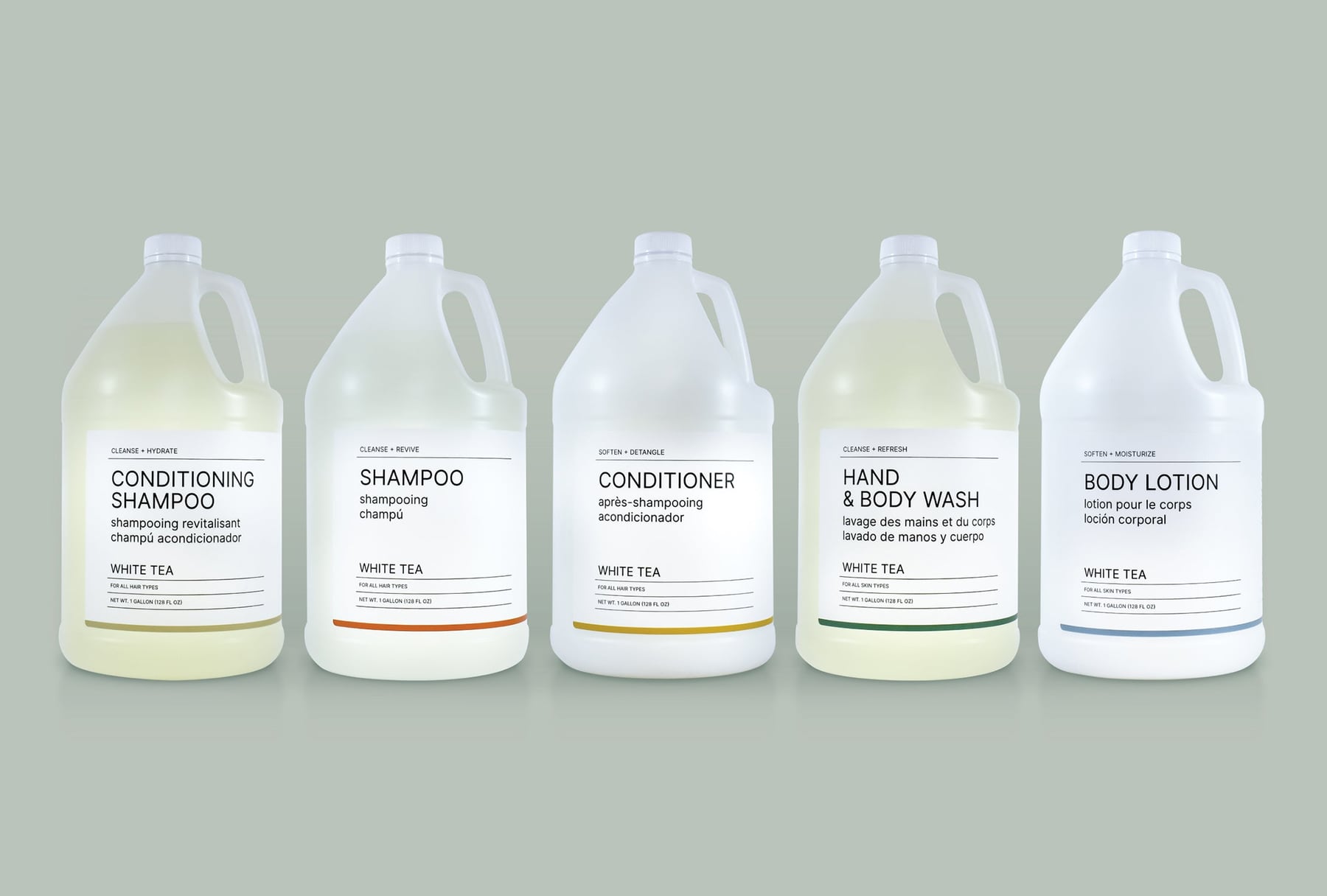 White Tea Gallon Jugs ürün görseli 2