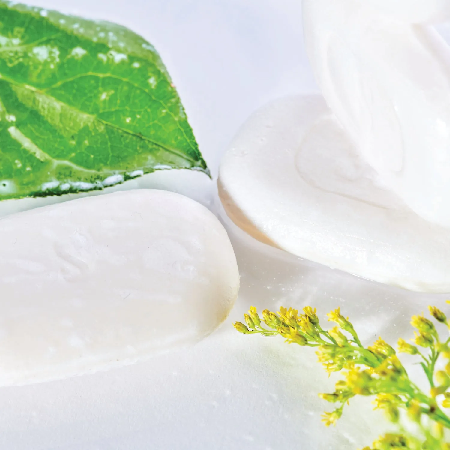 Solid amenity bars collection